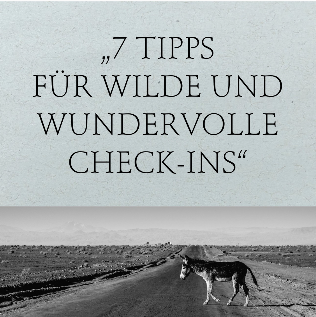 7 Tipps für wilde und wundervolle Check-Ins
