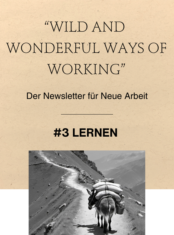 Wild and Wonderful Ways of Working: #3 LERNEN